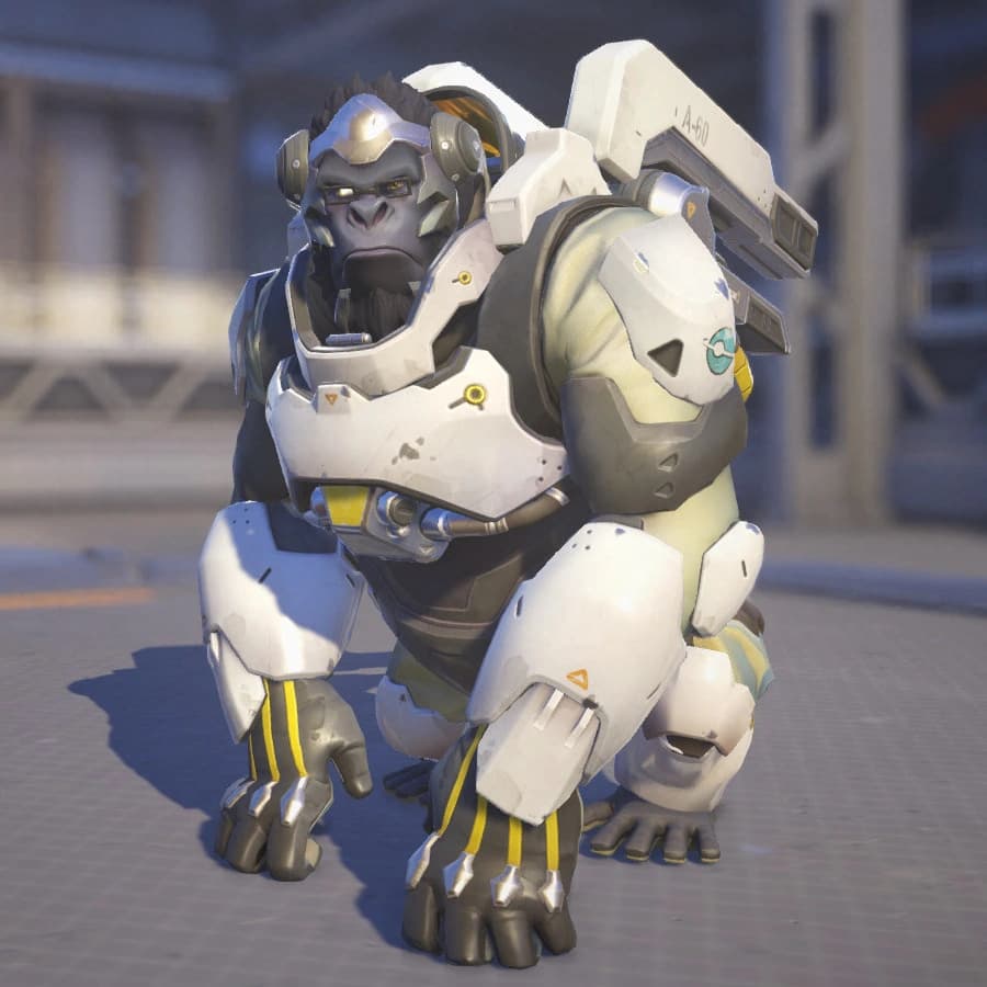 Winston Overwatch