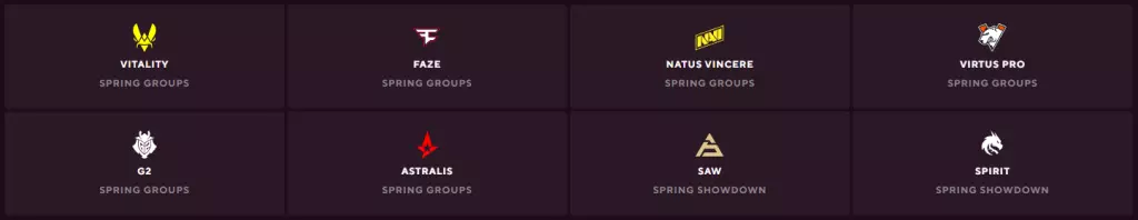 BLAST Premier Spring Final 2024 teams